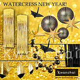 WATERCRESS NEW YEARS PARTY